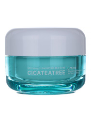  JGT Cicateatree Крем для лица с экстрактами центеллы азиатской и чайного дерева Jigott Cicateatree Cream