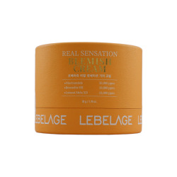  LBLG CREAM Крем для лица для проблемной кожи LEBELAGE REAL SENSATION BLEMISH CREAM,50г