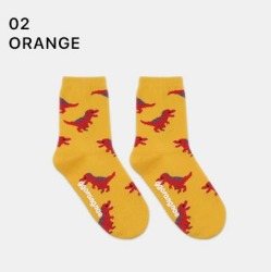  GGRN D TYPE(OD-B-033-M) Носки детские длинные (возраст 3-4 года), желтые, принт динозавры D TYPE(OD-B-033-M-02)BABY